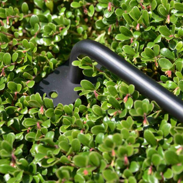 Fingerboard rail - Image 4
