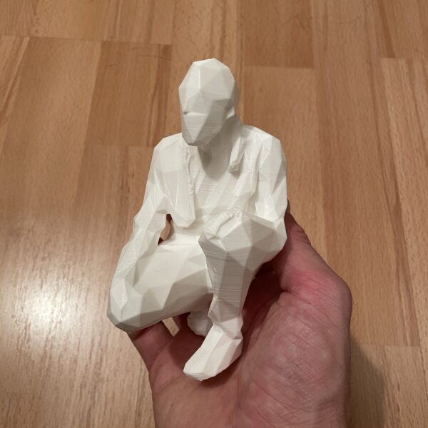 Ukázky 3D tisku - Image 24